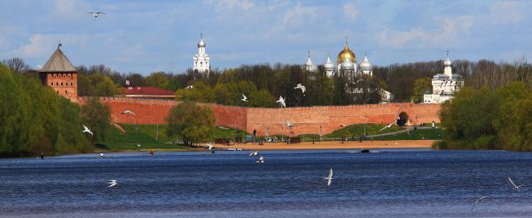 Народное голосование. ТОП-20 фотографий за 09.06.2026&nbsp;г.