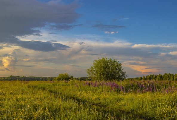 Народное голосование. ТОП-20 фотографий за 14.06.2026&nbsp;г.
