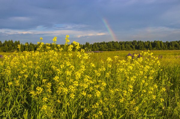 Народное голосование. ТОП-20 фотографий за 16.06.2026&nbsp;г.
