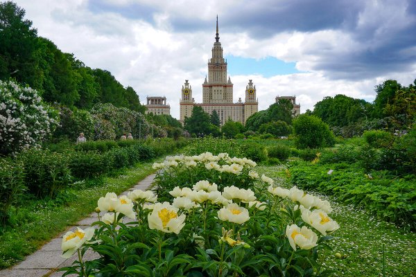 Народное голосование. ТОП-20 фотографий за 18.06.2026&nbsp;г.
