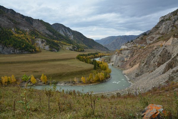 Народное голосование. ТОП-20 фотографий за 10.07.2026&nbsp;г.