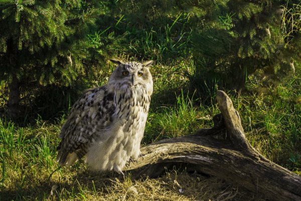 Народное голосование. ТОП-20 фотографий за 04.08.2026 г.