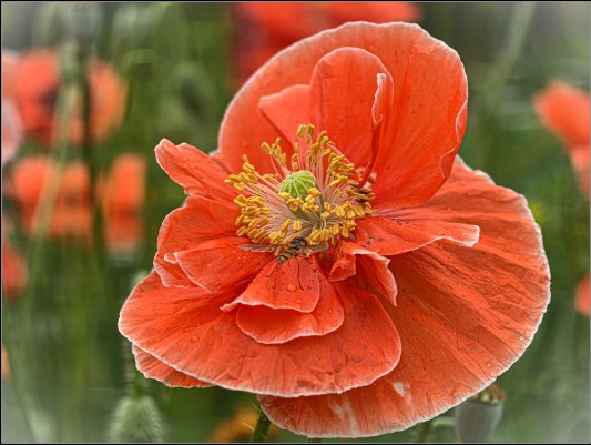 Народное голосование. ТОП-20 фотографий за 07.08.2026 г.