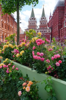 Народное голосование. ТОП-20 фотографий за 08.08.2026 г.