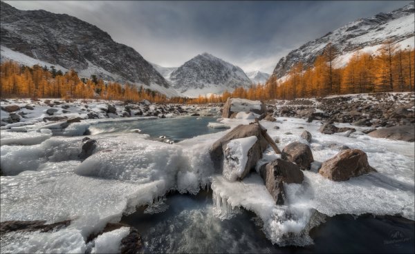 Народное голосование. ТОП-20 фотографий за 22.08.2026 г.