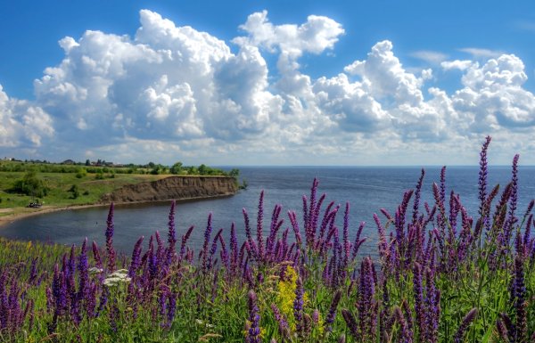 Народное голосование. ТОП-20 фотографий за 28.08.2026 г.