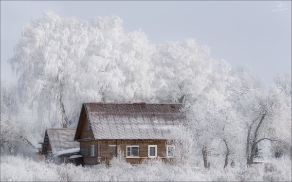 Народное голосование. ТОП-20 фотографий за 03.09.2026 г.