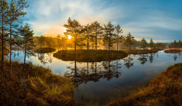 Народное голосование. ТОП-20 фотографий за 06.09.2026 г.