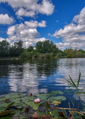 Народное голосование. ТОП-20 фотографий за 15.09.2026 г.