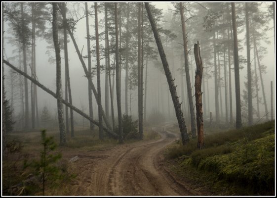 Народное голосование. ТОП-20 фотографий за 19.09.2026 г.
