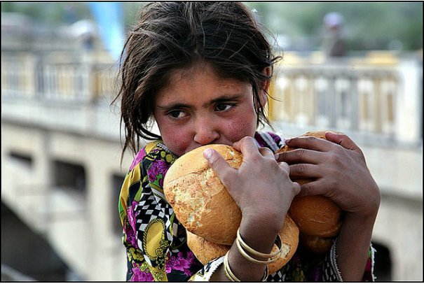 © Maciej Dakowicz © Maciej Dakowicz