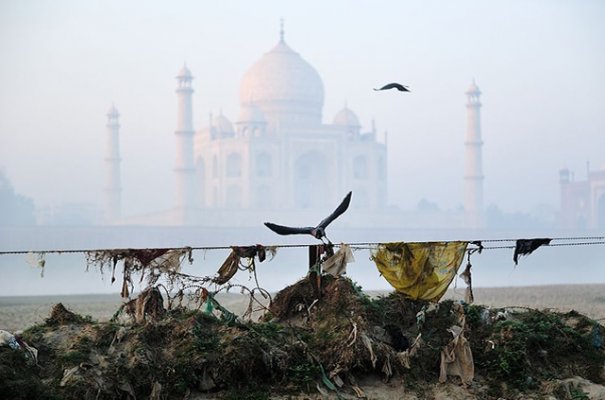 © Tomaz Sedej © Tomaz Sedej