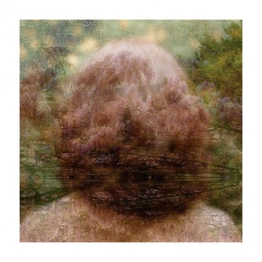 Фотограф Хелен Сир/Helen Sear - №3