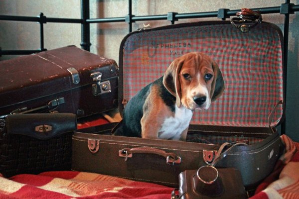 Неудавшийся дубль Неудавшийся дубль