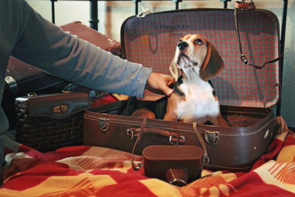 Процесс Процесс