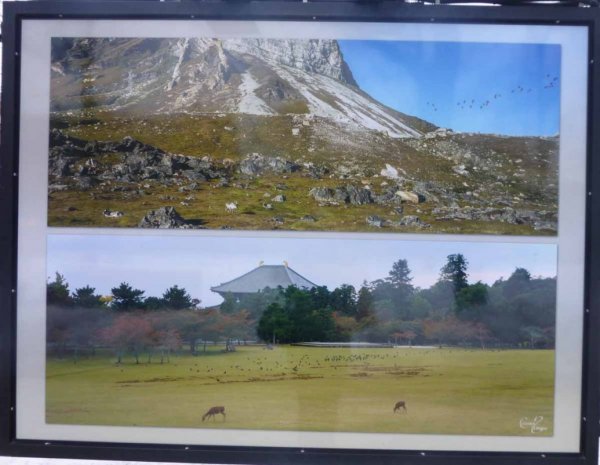 "Птицы и олени"