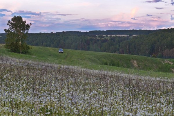 Где моя сова подружка...))