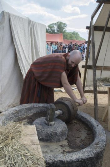 Так в те времена давили масло Так в те времена давили масло