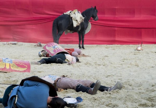 Гладиаторские бои Гладиаторские бои