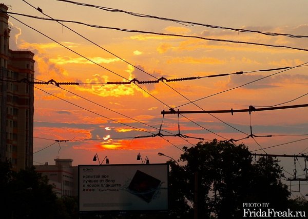 Вены неба Вены неба