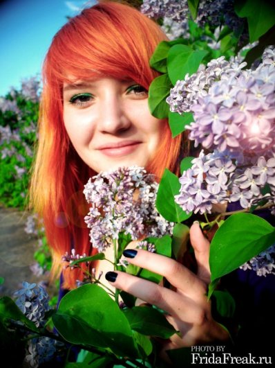 Сирень Сирень