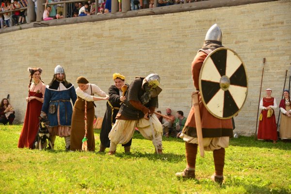 11 - позвала Жучка Кошку