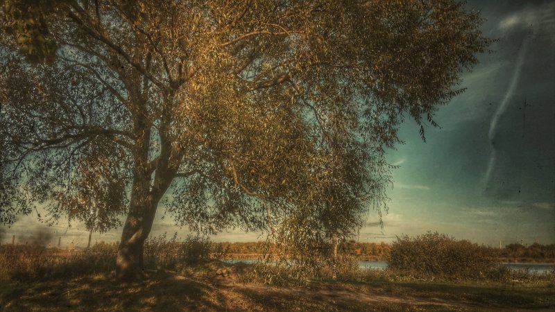 20151004_153646_HDR-01 20151004_153646_HDR-01