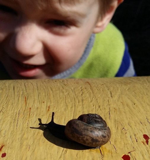 Вот ты какая, улиточка