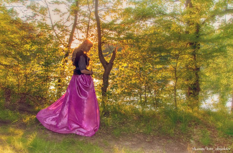 В сказочном лесу - №6 В сказочном лесу - №6