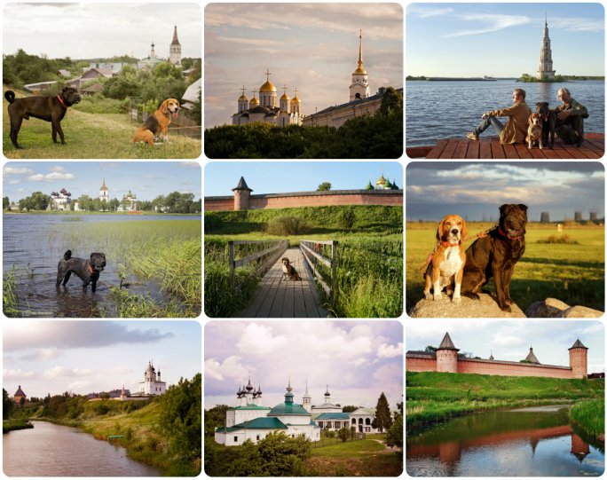 ЛЕКАРСТВО ОТ ЧЕРНО-БЕЛЫХ СНОВ - №1