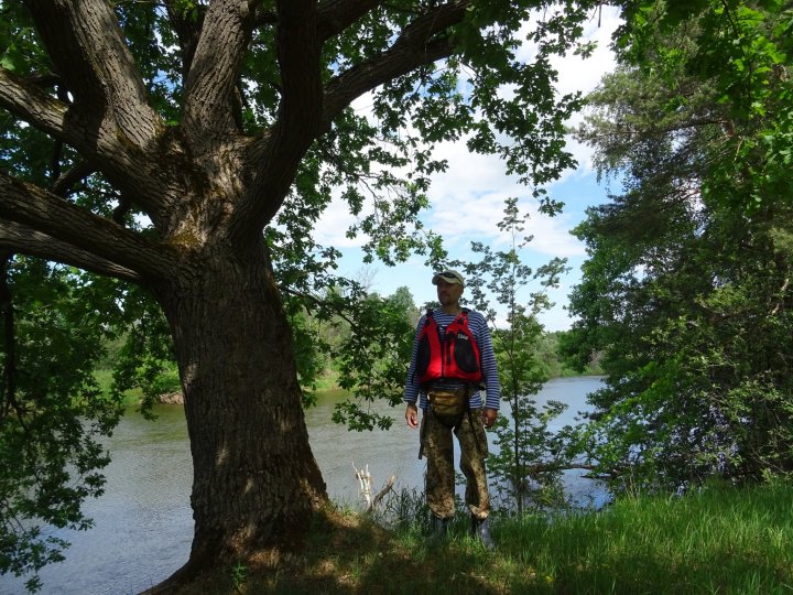 На берегу Клязьмы