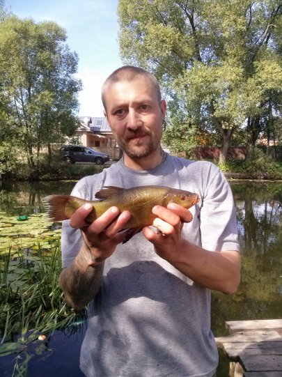 Золотая рыбка)