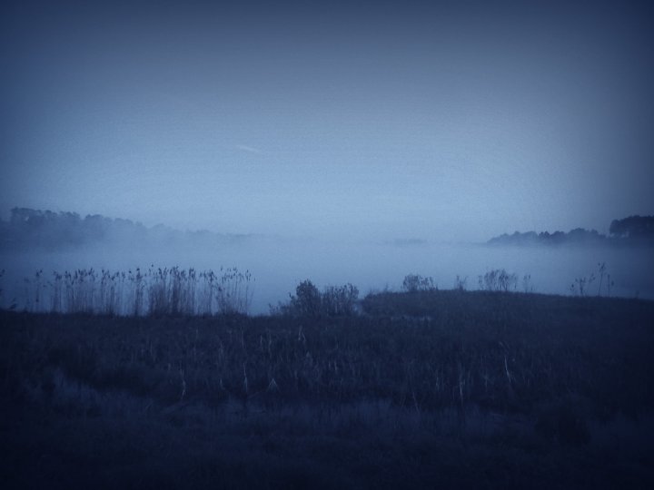 Новая жизнь