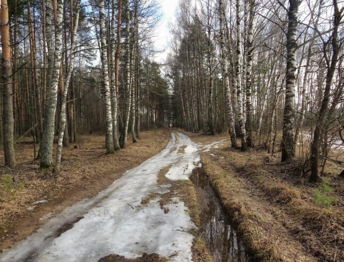 Дорога Дорога