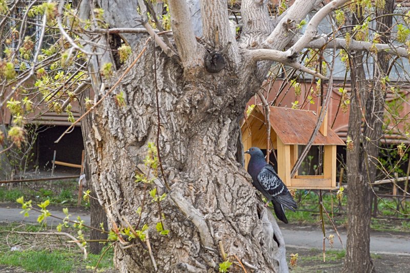 23 апреля - №3