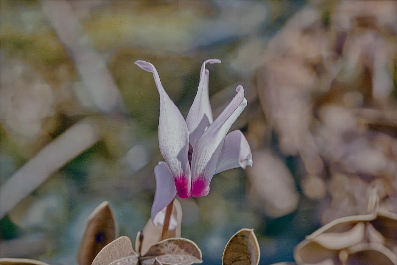 Привет    у меня  вопрос      ----    я например делаю  большую резкость в  фото   и  появляется   та сеточка  матрицы     фотоапарата  это нормальное  явление или нет