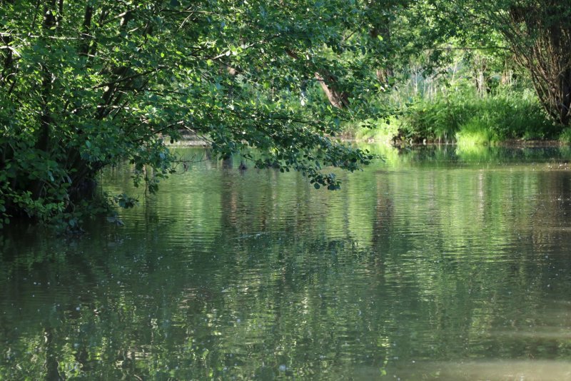 20240524211318_IMG_0701