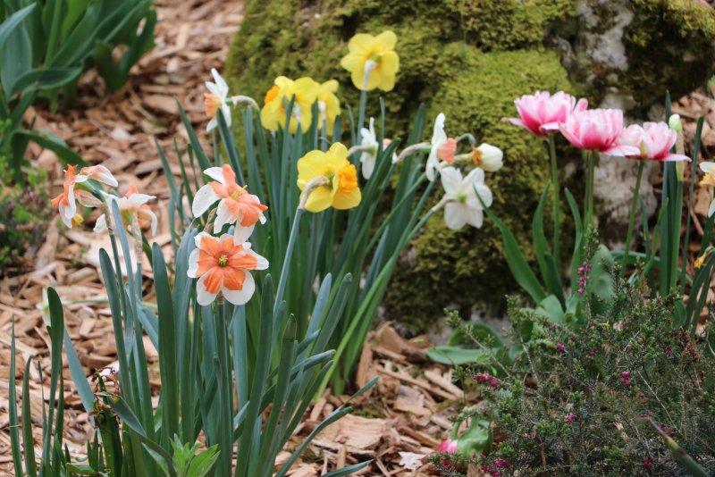 20240407182112_IMG_0161