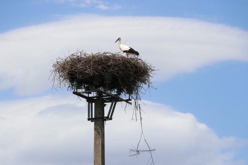 20230717164852_IMG_3055