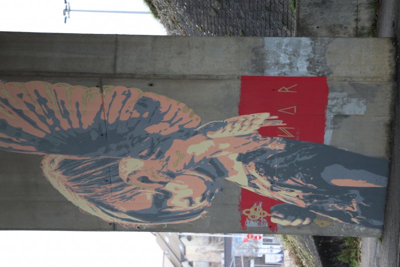 20240208183632_IMG_8997