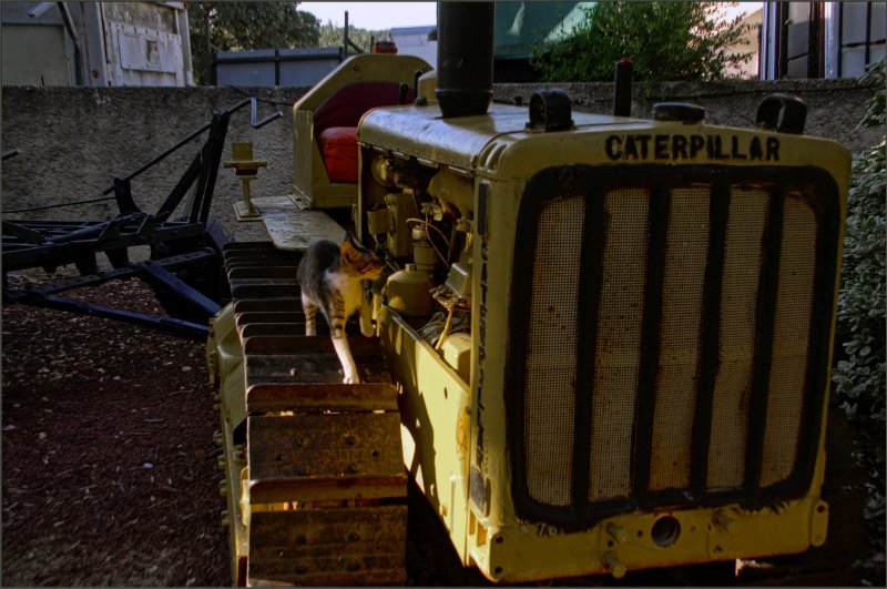 ПРИШЕЛ ГЛАВНЫЙ МЕХАНИК ПРИШЕЛ ГЛАВНЫЙ МЕХАНИК