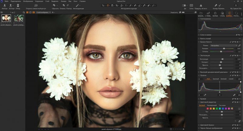 Топ-15 аналогов Photoshop для Mac OS - №7 Топ-15 аналогов Photoshop для Mac OS - №7