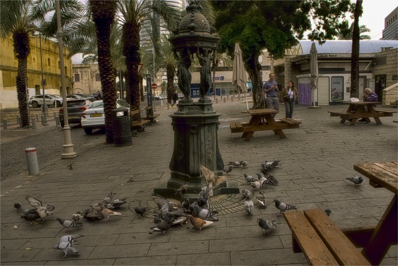 Израиль * Хайфа *2025