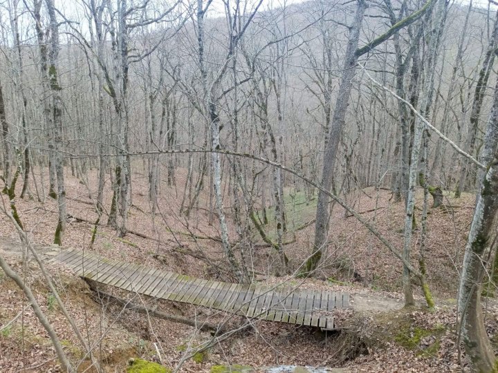 Путешествие на Собер