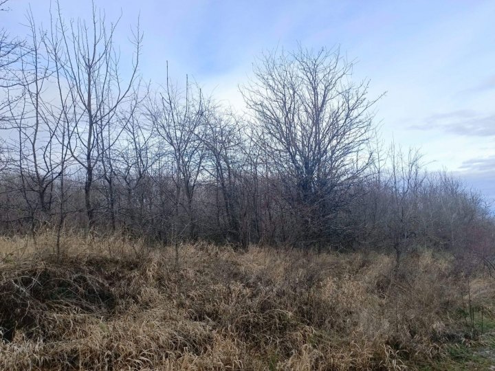 Путешествие на Собер