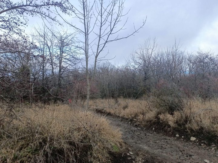 Путешествие на Собер