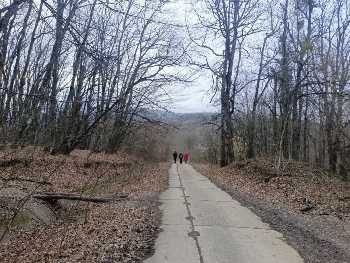 Путешествие на Собер