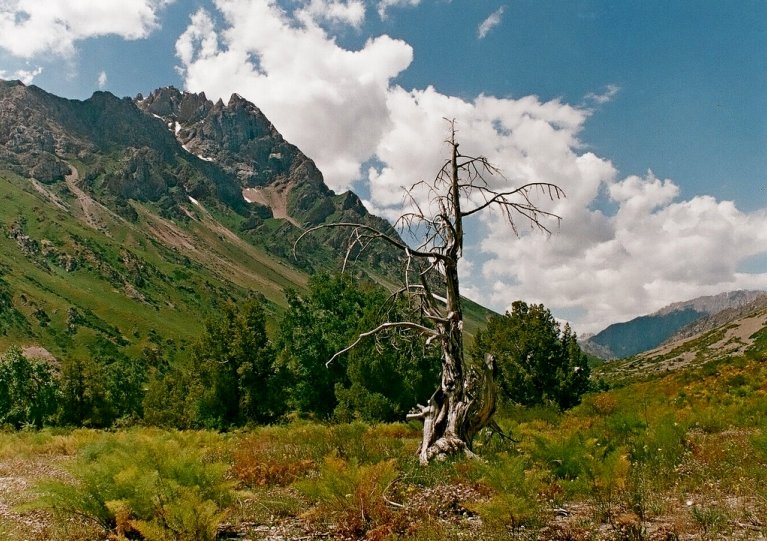 100811000009200030асС