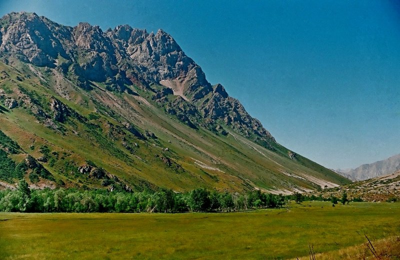 100811000009250023 С