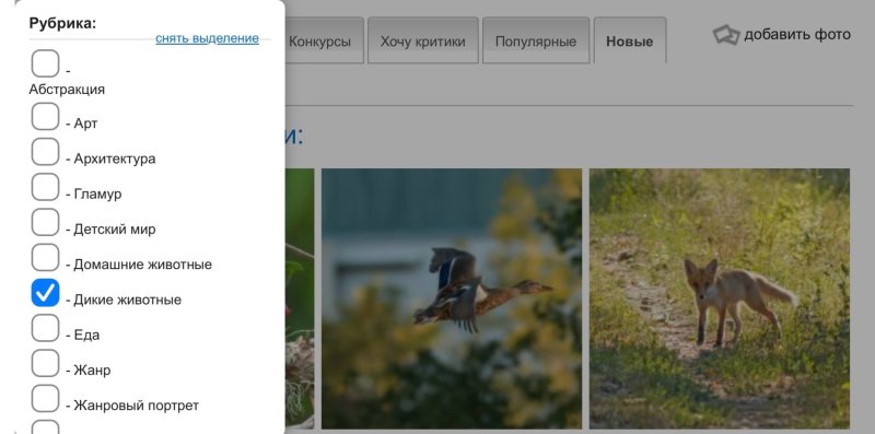 Мобильное улучшение ФотоКто - №2